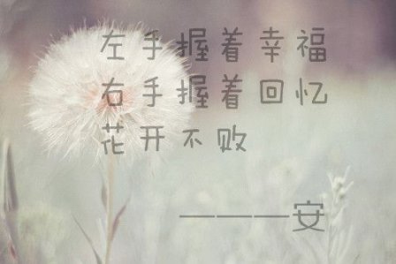 如此温暖过一生 最唯美的句子爱情语录(精选21句)