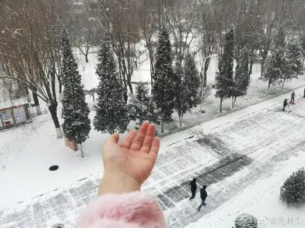 下雪了晒朋友圈怎么说 发朋友圈下雪高端句子