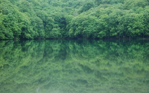 逢年过节的客户短信问候