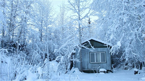 下雪抒发心情的好句